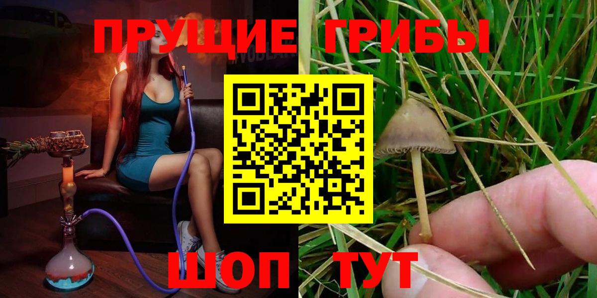 Псилоцибиновые грибы Cubensis  Вход с VPN  Ростов-на-Дону 